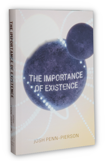 The Importance of Existence (Paperback)